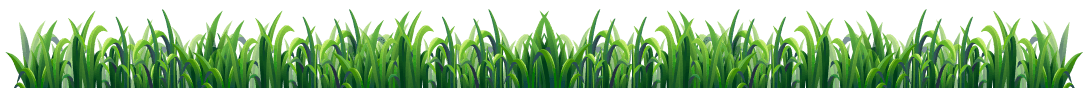 image-layer