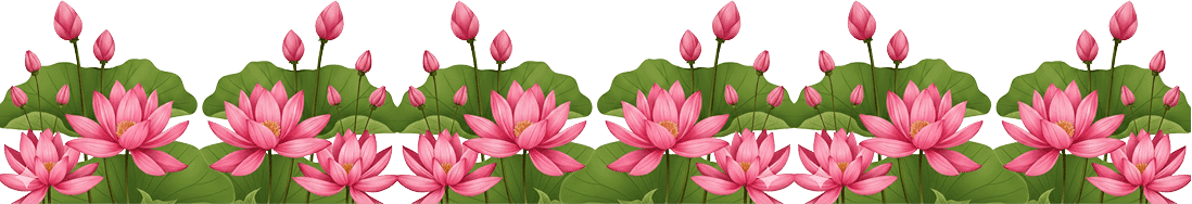 image-layer