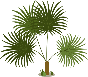 image-layer