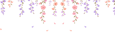 image-layer