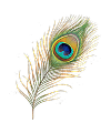 image-layer