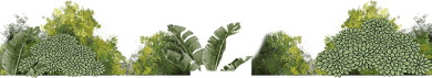 image-layer