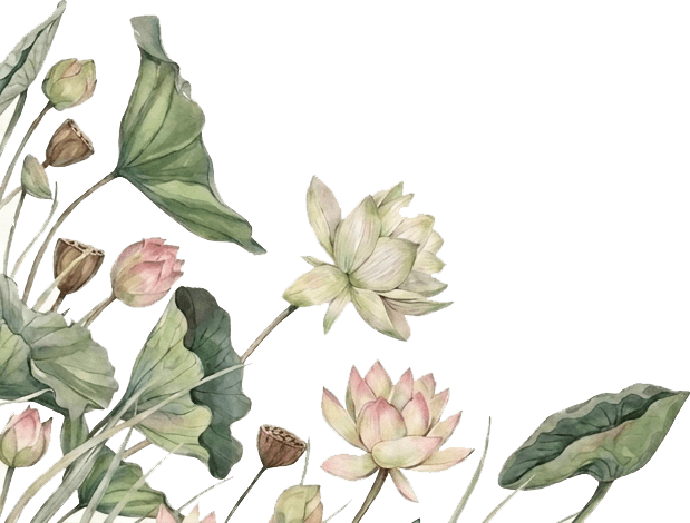 image-layer