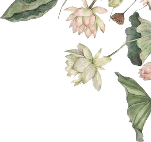 image-layer