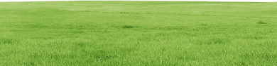 image-layer