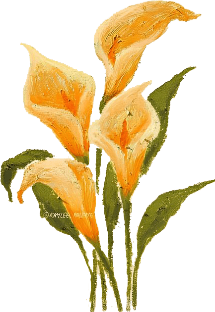 image-layer